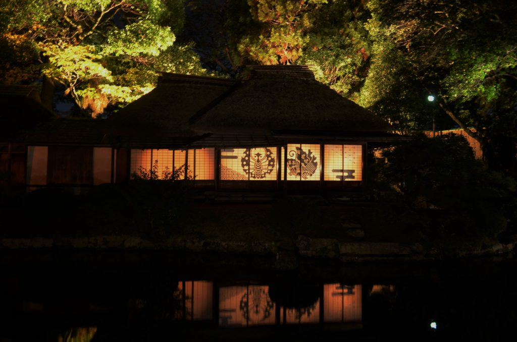 影灯りの夜 －2025－