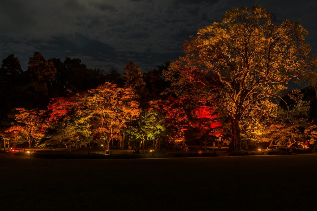 千入（ちしお）の森　－2025－