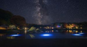 沢の池 宵の光紋